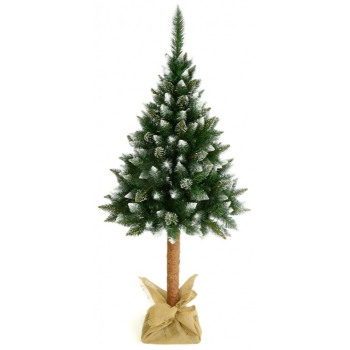 Mesterséges karácsonyfa törzsön DIAMOND PINE 220 cm